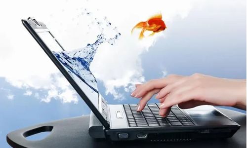 計算機提示DLL文件缺失如何恢復(fù) 多種方法快速一鍵修復(fù)DLL問題